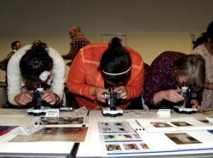 Participants of the 2011 ITP observing  pest samples during a Collections Assistant workshop.